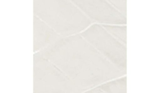 Futurefashionforward.shop1b7dca4ec8 10