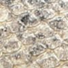 Futurefashionforward.shop1d0a6499ac 10