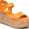 Futurefashionforward.shop1fc12ba7f2 1