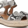 Futurefashionforward.shop3e363628a9 8