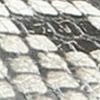 Futurefashionforward.shop560a1981d4 10