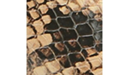 Futurefashionforward.shop793f0ed7c7 10