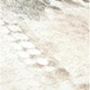 Futurefashionforward.shopabb4bbe08d 10
