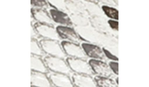 Futurefashionforward.shopc4b3c963d7 10
