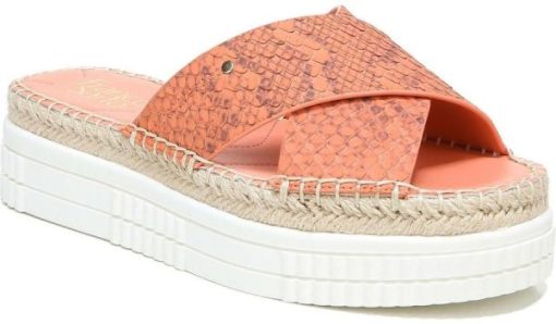 Futurefashionforward.shopc59825983c 1