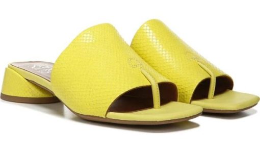 Futurefashionforward.shopd5a3adc4d3 2