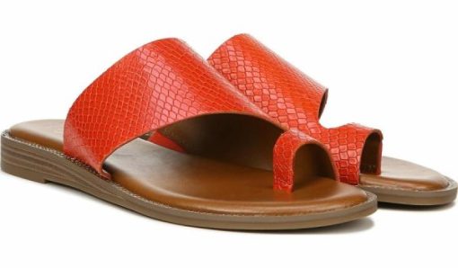 Futurefashionforward.shopd6a3dd099a 2