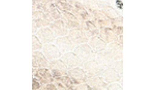 Futurefashionforward.shopdc217f3ab0 1