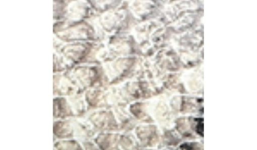Futurefashionforward.shopdd9ad77659 10