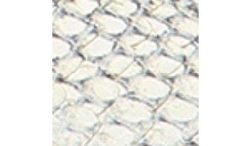 Futurefashionforward.shopddcc5503ba 10
