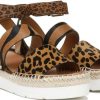 Futurefashionforward.shopf05d787425 2