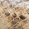 Futurefashionforward.shopfabec16089 10