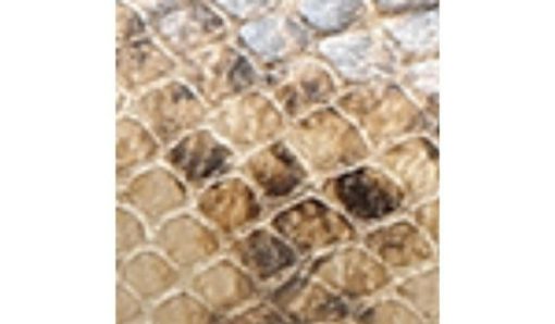 Futurefashionforward.shopfabec16089 10